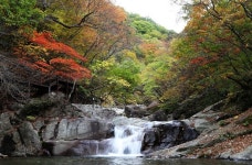 지리산 칠선계곡 단풍 물들어, 10월말 절정