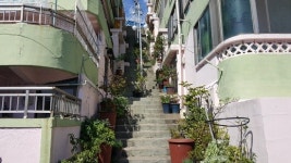 나의 낭만 때문에 주민들은 괴롭다