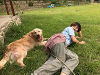 살코기 된 동물에게도 동물복지가 가능할까요