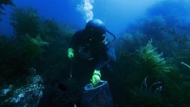 물밖 나오려 발버둥치는 잠수부, 감독은 왜 엔딩 고집했나 