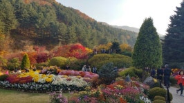 경춘선 타고, 입과 눈 즐거운  늦가을 가평 나들이 