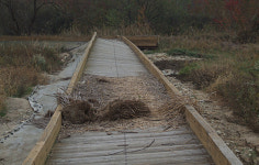 혈세 13억 원 투입된 소양강변 생태공원 무용지물