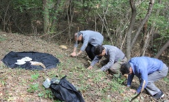 부역 혐의로 학살된 아산 주민 유해 햇볕 볼까