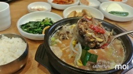 [모이] 순대국밥에 새금한 깍두기 올려먹으면 금상첨화