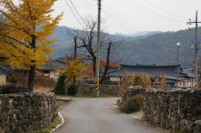 지는 가을 아쉽다면 일단 말려봐요