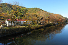 매겁시 좋은, 사랑의 숲으로 가자