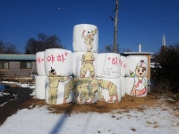 [사진] 볏짚의 화려한 변신