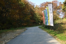 손기정 금메달에 결정적 영향을 끼친 혁명가