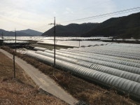 낙동강 광암들 농민 피해 MB에게 구상권 청구해야 