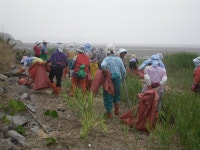 최고의 갯벌을 지키며 체험으로 활로 찾는 법산어촌계