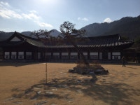 최명희 <혼불>을 만나고 달라진 내 독서 이력