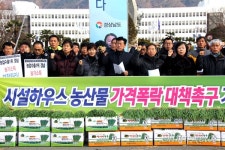 시설하우스 농산물 값 50~20% 폭락, 대책 세워야