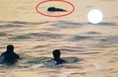 해운대 바다에 빠진 여성을 구조한 경찰관들