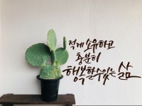 나는 안 될 것 같은 미니멀라이프였는데