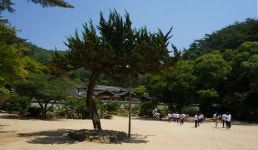 서원, 알고 보면 매력있는 인문학 여행지