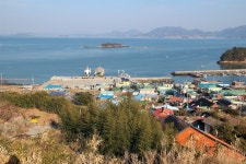 여수에 가득 퍼진 파래 향, 제철 맞네