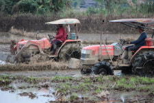 건너기만 하면 욕망을 씻어준다는 다리