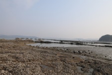 태안반도 어촌계를 찾아서 ⑪ 의항해상낚시공원으로 재도약 의항2리어촌계