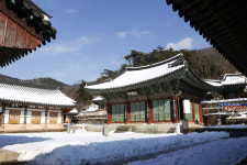 전쟁포로에서 일본 성리학의 원조가 된 조선 양반