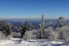 그 산에 가면 입장료·주차비·셔틀버스 모두 공짜