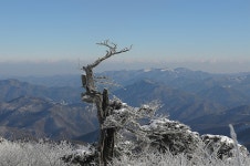 그 산에 가면 입장료·주차비·셔틀버스 모두 공짜