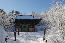 그 산에 가면 입장료·주차비·셔틀버스 모두 공짜