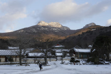 해를 붙잡아 두었다는 전라도 천년나무