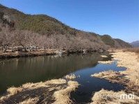 화순 8경 화순군 연둔리 숲정이의 겨울 