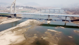 금강에 봄은 왔지만... 죽은 생물, 악취만 진동했다