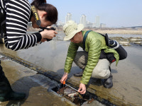 금강에 봄은 왔지만... 죽은 생물, 악취만 진동했다