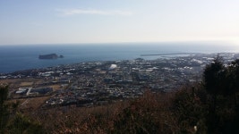 나무심기 운동 하던 제주 고근산, 이렇게 변했네 