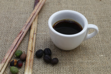 담양에서 재배한 커피 맛, 제 점수는요