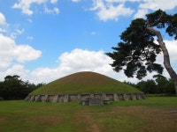 대구가 신라의 수도가 되었을지도 모른다