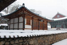 동화사가 독립운동 성지라는 사실, 아십니까