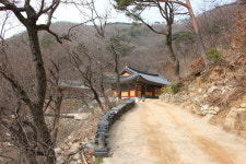 길 없는 길을 만들어가다