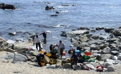 낫 들고 바다 들어가는 영덕 해녀를 아시나요?