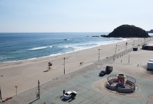 아직도 유채꽃 보러 제주도까지 가세요?