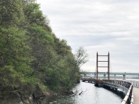 MB 4대강 사업과 달성군 탐방로는 닮은꼴