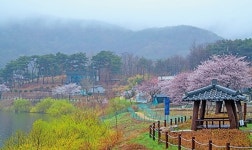 예산 사람들 좋겠네, 이리 예쁜 길 걸을 수 있어서