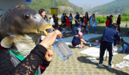 강물은 흘러야 한다, 물고기도 이동하고 싶다