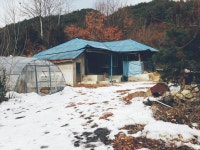 시골집 로망 와장창... 우리는 시골 원룸에 산다 