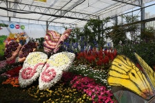 아이는 나비, 부모는 한우... 완벽한 가족여행지