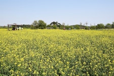 아이는 나비, 부모는 한우... 완벽한 가족여행지