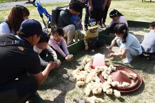 아이는 나비, 부모는 한우... 완벽한 가족여행지