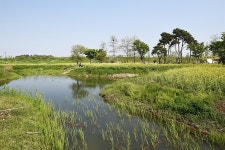 아이는 나비, 부모는 한우... 완벽한 가족여행지
