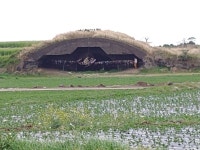 132구 시신, 한데 묻은 사연