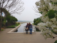 총성 멎은 임진강변엔 라벤더 향기가 뿜뿜