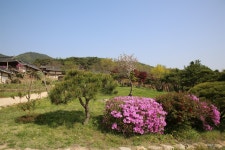 건축이 자연이 되는 안동 병산서원