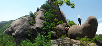 연홍빛 낭만, 황매산에서 즐기세요