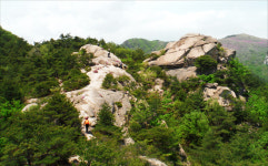 연홍빛 낭만, 황매산에서 즐기세요